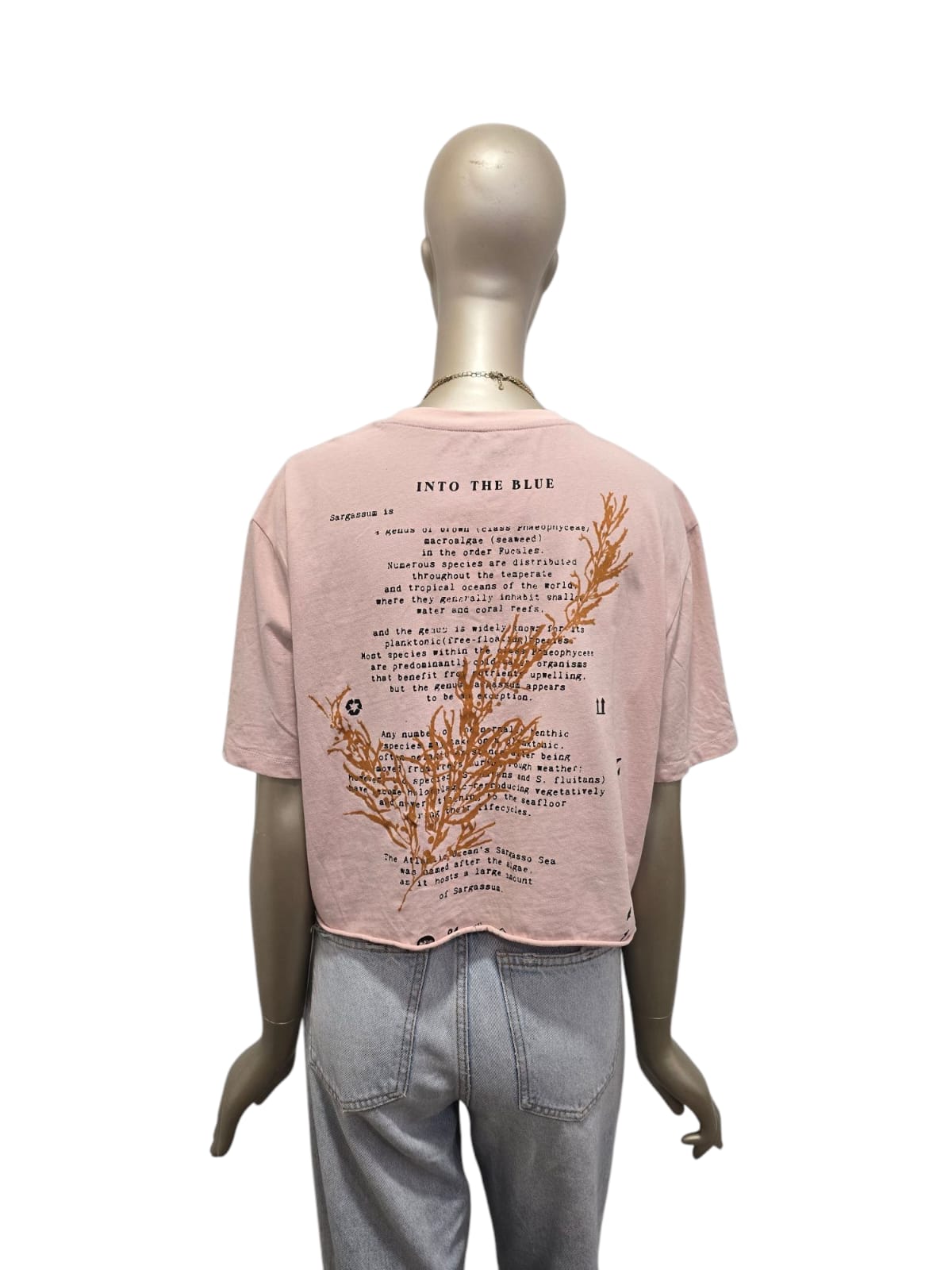 T-Shirt Salsa | L